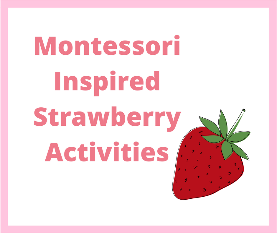 Montessori Inspired Strawberry Activities