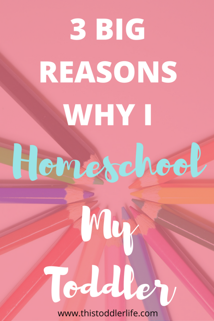 Have you been thinking about homeschooling your toddler? Here are the 3 main reason I homeschool my toddler and why you should too!