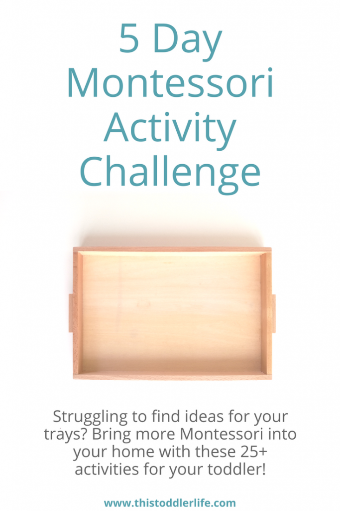 5 Day Montessori Activity Challenge