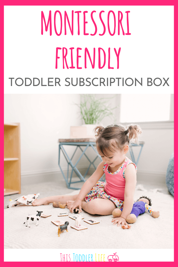 Toddler Subscription box
