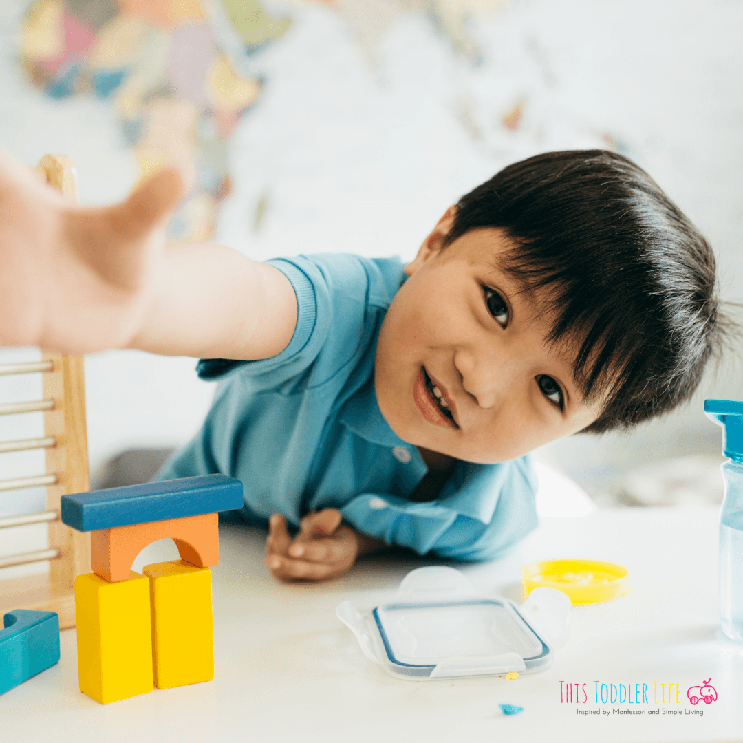 Montessori Mindset Shifts For Your Toddlers