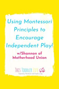 USING MONTESSORI PRONCIPLES TO ENCOURAGE INDEPENDENT PLAY!
